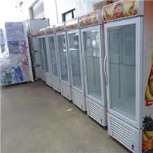 绿缔LG-260保鲜冷藏展示柜单门展示柜