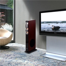 Sansui/山水音响山水F60家庭影院音响套装5.1家庭影院音箱