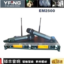 驿丰EM2500无线一拖二麦克风话筒舞台演出