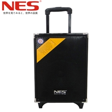 100A8寸电瓶拉杆音箱晨练音箱舞台音箱带无线麦音箱厂家