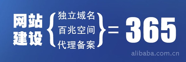 企业网站建设网页设计独立域名2小时开通