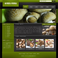 提供专业的网页设计网站制作设计