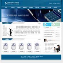 杭州网站建设网页设计贸易网站开发中英文网站制作满意付款