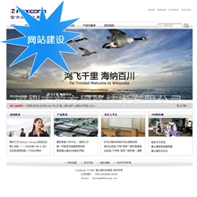 布吉安防防护监控设备网页设计|小语种网页设计|网站制作报价