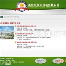 提供东莞东城网站设计域名注册服务