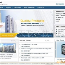 提供国外特色网站设计制作服务