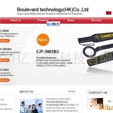 提供专业国外网站设计制作服务服务