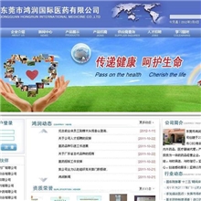 东莞中堂镇高品质网页设计高端网站制作，做网站送域名，送邮箱