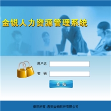 金锐人力资源软件金锐人力资源系统（BS网络版）