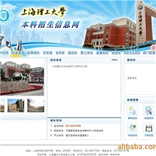 专业优质的UI优化、网站制作、网站建设、网站策划、网页设计