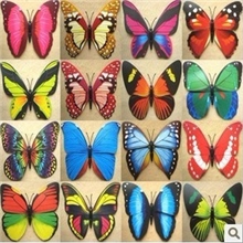 厂家直销12cm仿真蝴蝶冰箱贴蝴蝶满天星彩蝶磁铁夜光蝴蝶系列
