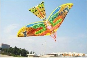 地摊暴利热销玩具飞鸟扑翼机吉祥鸟半成品飞鸟益智玩具
