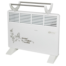 扬子对流式取暖器暖风机居浴两用节能防水壁挂电暖器家用