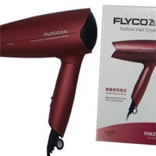 飞科电吹风静音冷热风吹风筒吹风机大功率正品联保FH6256
