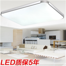 新款现代简约苹果5超薄亚克力铝材吸顶灯LED长方形客厅灯卧室灯