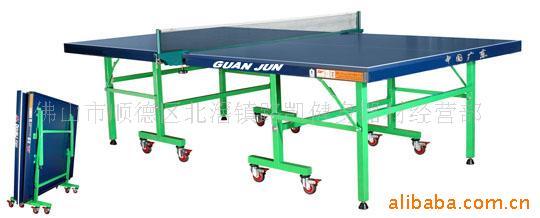 冠军乒乓球台201单折移动黑绿面佛山广州上门安装