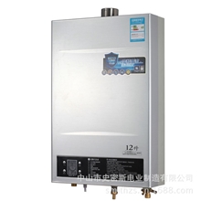 12升数码恒温正品上海华生强排燃气热水器天然气特价包邮