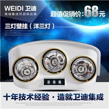 卫迪三灯壁挂浴霸A级防爆取暖厂家批发