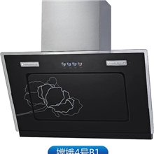 厂家直销容易清洁玻璃钢化侧吸油烟机提供OEM嫦娥4号B1