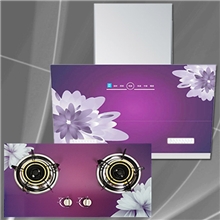 厂家批发智能吸油烟机欧式脱排侧吸式抽油烟机