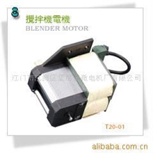 供应T20-01家用微电机