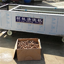 家用型12根毛刷核桃清洗机