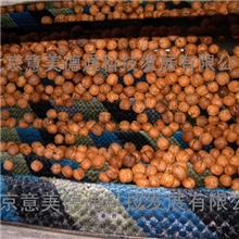 2013年最新型最抢手新疆胡桃核桃清洗机-果蔬加工设备