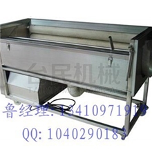 连续式洗菜机土豆脱皮机果蔬清洗桔梗去皮机厂价直销