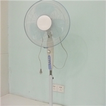 批发，供应宝钻牌落地扇（55元特卖限购）【20台）