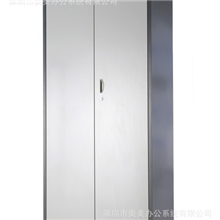 深圳厂家供应简约钢制双对开门文件柜金属掩门柜免费送货安装