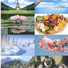 供应钦州床上书桌小卡通方便实用量大8.8包邮