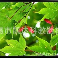 厂家批发100英寸高品质家用pvc白软画框投影幕16:9