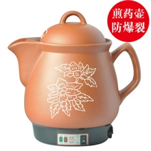 奇家6L6升大养生壶中药壶电药壶煎药壶电煎药锅药罐中药煲熬药壶