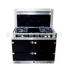 专业供应科大智能集成环保灶&mdash;靓彩