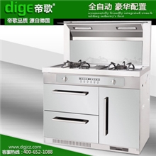 德国Dige正品集成环保灶侧吸环保集成灶全自动优美大方FHB-02