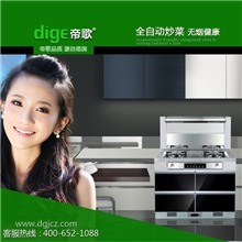 Dige正品集成灶侧吸节能环保双电机免移机拆洗厂家直销包邮
