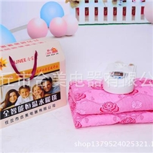 厂家直销智能空调床垫冷暖水暖床垫水循环床垫水暖毯