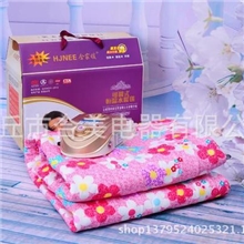 水暖毯保健恒温水床单人双人三人多人水电褥子特价包邮