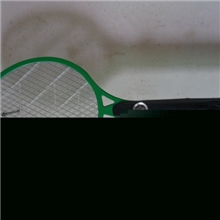 带LED灯可转换插座电蚊拍