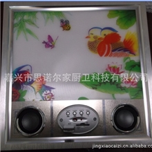 思诺尔家集成吊顶多功能LED灯照明+MP3音乐播放[厂家直销]
