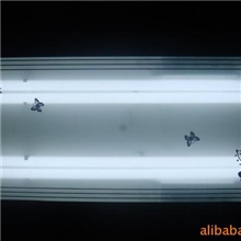 特价供应冬之火集成吊顶电器长照明&ldquo;蝶恋花&rdquo;