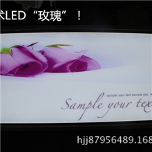 中国驰名商标集成吊顶艺术LED长照明