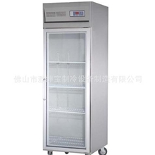 G0.5L1广东冷柜-广东保鲜柜-广东冷藏柜-便利店冷柜-广东展示冷冻