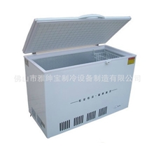 BD-900冰箱冷柜便利店冰柜小型冰柜保鲜制冷设备