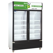 东莞冰柜双门立式冰柜硬冰淇淋展示柜便利店货柜保鲜冷藏展示柜