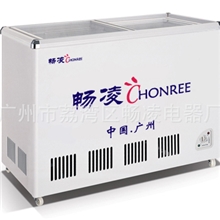 【出口批发】雪柜,冷柜,冰柜,玻璃门冰柜,冰箱