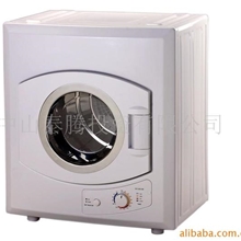 家用酒店用宿舍用发廊用旅馆用滚筒干衣机非常美的干衣机