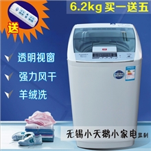 全国联保厂家直销小天鹅波尔卡6.2kg洗衣机全自动风干波轮