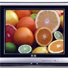 14"17"19"21"25"29"CRT三洋飞利浦东芝主板电视