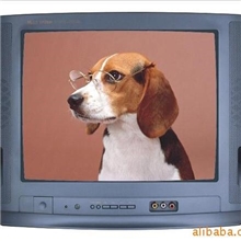 专业生产--出口彩色电视机14寸、21寸